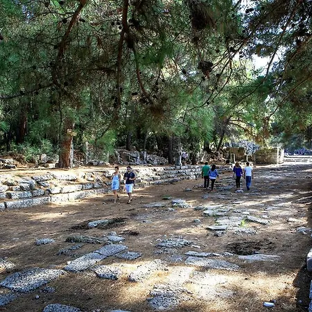 Ilimyra Camyuva