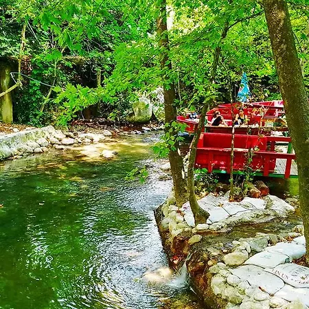 Ilimyra Çamyuva